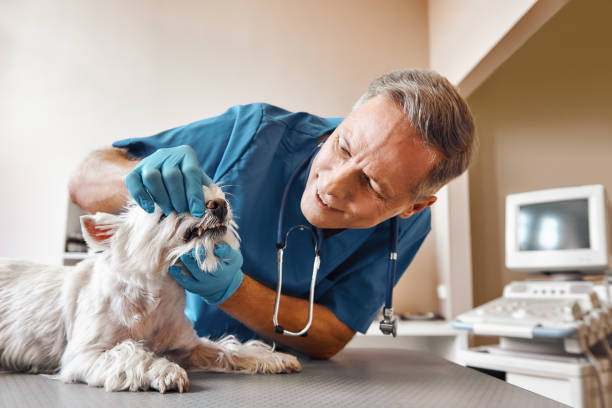  Gladewater, TX Emergency Dentist Pros