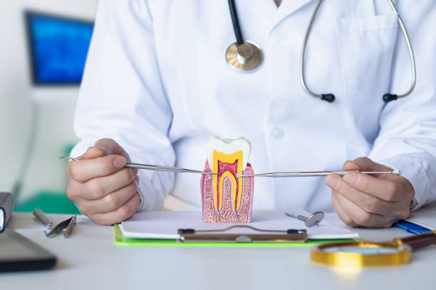 Best Emergency Broken Tooth Repair in Gladewater, TX